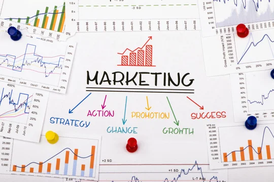 Cosa studia il marketing?